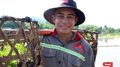 Farmers in Yen Chau commune are urgently planting their crops for the upcoming season.