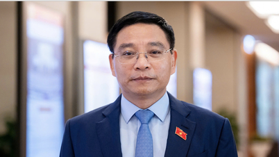 نائب وزیر اعظم Nguyen Van Thang قیمتوں کے انتظام کے لیے اسٹیئرنگ کمیٹی کے سربراہ ہیں۔