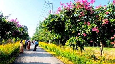 প্রেসিডেন্ট হো চি মিনের নামে সাইগন - গিয়া দিন শহরের নামকরণের ৫০ বছর পূর্তি: গ্রামাঞ্চল শুধু পরিবর্তিতই হয়নি, বরং ভূমিকাগুলোও উল্টে গেছে।
