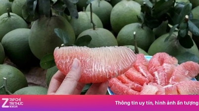 Lezzetli ve tatlı olmasının yanı sıra, yeşil pomelo 8 şaşırtıcı fayda da sunuyor.