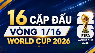 De 16e achtste finales van het WK: Brazilië neemt het op tegen Japan, Frankrijk tegen Zweden.