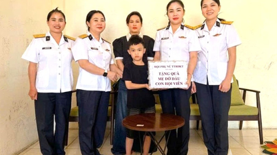 The Women's Association of the Naval Region 3 Technical Support Center implements the "Godmother" model.