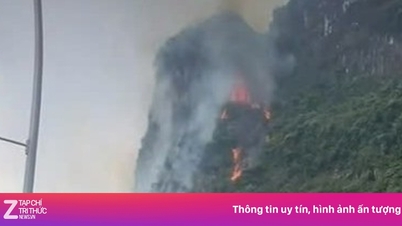 Ein Blitzschlag traf den Berg Cao San und verbrannte fast 3.500 m² geschützten Waldes in Ninh Binh.