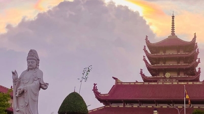 Nutzen Sie eine kostenlose Busfahrt, um eine Reihe berühmter Tempel in Ho-Chi-Minh-Stadt zu besuchen.