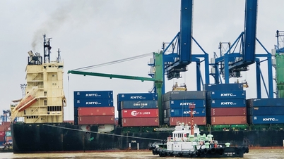 Cước vận chuyển đi Mỹ, châu Âu tiếp tục tăng vọt