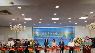 중국과 베트남 문화를 연결하는 미술 전시회.