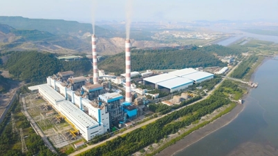 La provincia de Quang Ninh publica nuevas regulaciones sobre el apoyo al arrendamiento de terrenos públicos: ¿Qué empresas pueden optar a ellas?