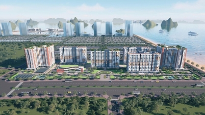 Quang Ninh: سماجی رہائش لوگوں کے لیے ذریعہ معاش کو یقینی بنانے میں معاون ہے۔