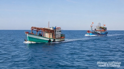 A província de An Giang fez quase 2.100 chamadas para impedir que embarcações de pesca violassem as normas de pesca IUU (Ilegal, Não Declarada e Não Regulamentada).
