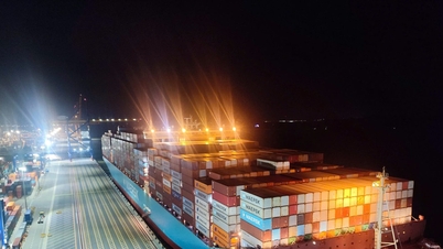 Hai Phong dan Quang Ninh telah diberi target pertumbuhan tertinggi di negara ini.