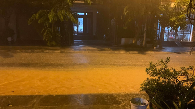 ラオカイ省は、6月28日夜から広範囲で大雨が降る恐れがあり、多くの地域で降雨量が150ミリを超える可能性があると警告している。