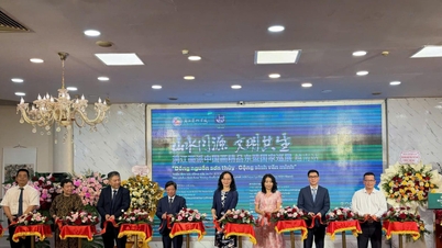 Giới thiệu tinh hoa hội họa Trung Quốc tại Việt Nam