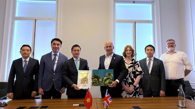 El presidente del Consejo de Administración de Petrolimex se reunió con el Instituto de Energía en Londres para debatir sobre la transición energética y la cooperación en el desarrollo de recursos humanos.