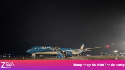 Vietnam Airlines' spesialflyvning