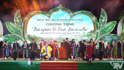 Célébration de la région du thé de Vo Tranh avec de nombreuses activités uniques.
