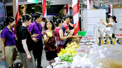 2026 میں Hai Phong پروموشن کا مہینہ 700 سے 1,000 شرکت کرنے والے کاروباروں کو متوجہ کرے گا۔