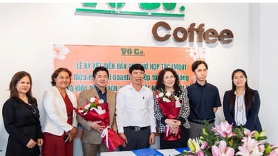 Associação Empresarial Provincial de Lam Dong: Uma base sólida para a comunidade econômica privada.