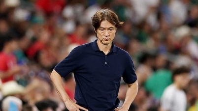 Son Heung-mins træner sagde op efter Sydkoreas ydmygende eliminering.