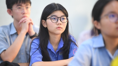 Die Liste der Gymnasien in Ho-Chi-Minh-Stadt, die im Hinblick auf die Zulassungsgrenzen für die 10. Klasse im Jahr 2026 am ehesten für Überraschungen sorgen könnten.