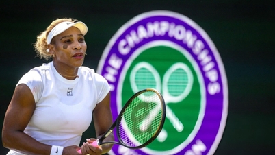 Novak Djokovic: Màn tái xuất của Serena Williams tại Wimbledon 2026 là điều kinh ngạc