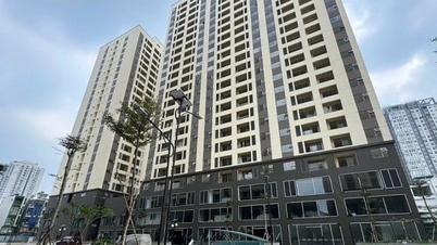 TP.HCM công bố giá bán dự án nhà ở xã hội 324 Lý Thường Kiệt