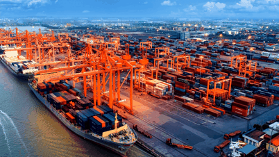 Accelerate the implementation of the Hai Phong Free Trade Zone.