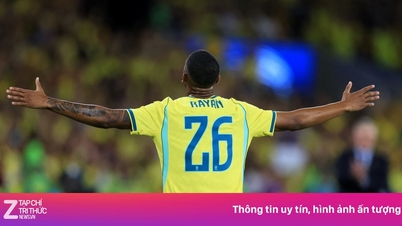 Brezilya'nın Japonya için sakladığı tehlikeli 'değişken'.