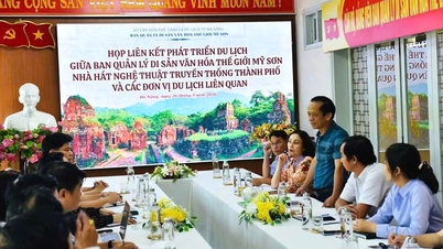 Ahli Lembaga Pengurusan Tapak Warisan Dunia My Son di Da Nang sedang menyebarkan nilai-nilai warisan tersebut.