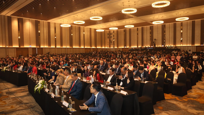 Da Nang lança o 4º Festival de Cinema Asiático – Da Nang