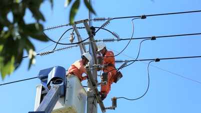 2026年6月28日から7月5日までのドンタップ省（旧ティエンザン省）の停電スケジュール：修理のため、多くの住宅地で1日12時間の停電が発生します。
