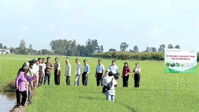 การผลิตทางการเกษตรที่มีคุณภาพสูงนำไปสู่ประสิทธิภาพที่สูง