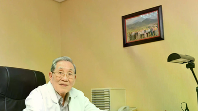 پروفیسر، ڈاکٹر Nguyen Dinh Hoi - یونیورسٹی میڈیکل سینٹر ہو چی منہ سٹی کے بانی، انتقال کر گئے ہیں۔