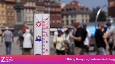 世界保健機関（WHO）：ヨーロッパで1300人が熱波に関連して死亡。