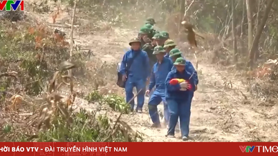 Gian nan hành trình tìm kiếm, quy tập hài cốt liệt sĩ