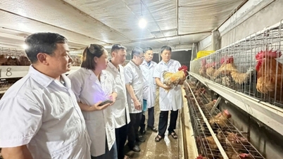 지적재산권법을 실무에 적용하기.