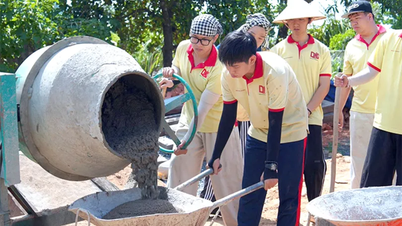 นักเรียนกว่า 500 คนเข้าร่วมในแคมเปญ "ฤดูร้อนสีเขียว"