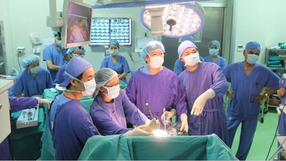 세계 의학 문헌에 표준 치료 프로토콜이 없는 희귀 사례에 대한 수술이 성공적으로 이루어졌습니다.
