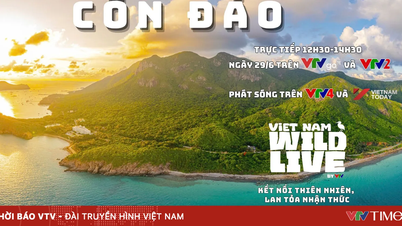 LIVE: Vizitați numeroasele „puncte de atracție” din Con Dao cu Vietnam Wild Live