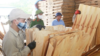 Hợp sức đẩy lùi ma túy