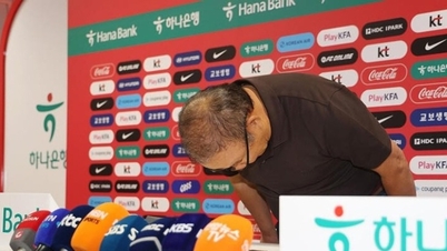 Park Hang-seo verbeugte sich entschuldigend, und Trainer Hong Myung-bo trat nach dem Ausscheiden Südkoreas aus der Weltmeisterschaft 2026 zurück.