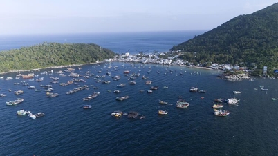 Đảo xanh gần bờ