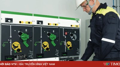 Παγκόσμια εμπειρία σε υποδομές πράσινης ενέργειας για την ενεργειακή μετάβαση στο Βιετνάμ.