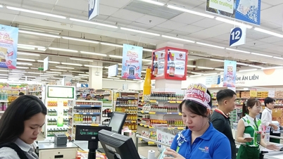 ដំណើរឆ្ពោះទៅរកការកសាង "ទីក្រុងនៃចំណុចកំពូលទាំង ៥"៖ សហគមន៍អាជីវកម្មធ្វើការជាមួយគ្នា។