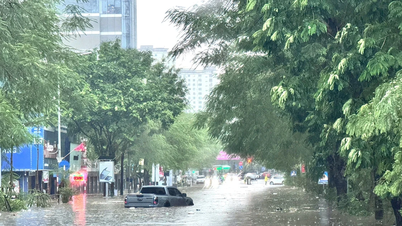 Hujan lebat menyelubungi Utara Vietnam, dengan banyak kawasan menghadapi risiko banjir.
