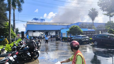 Vinh Long: Gran incendio en la empresa Go Dang Joint Stock Company, Parque Industrial An Hiep.
