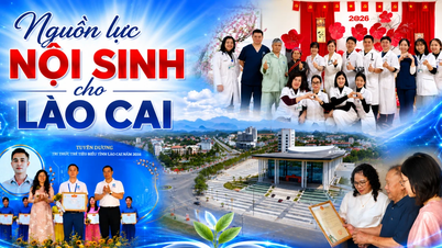 Sumber daya endogen untuk Lao Cai