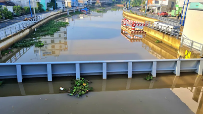 El delta del Mekong experimentará dos periodos de mareas altas que podrían provocar inundaciones y afectar la producción agrícola.