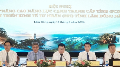Enhancing the competitiveness of businesses in Lam Dong province by leveraging their unique advantages.