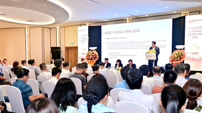 Assemblée générale annuelle 2026 de Hung Thinh Incons : Approbation du plan d’augmentation de capital et élargissement de l’orientation de développement.