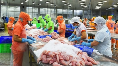 China membelanjakan lebih $1.2 bilion untuk membeli makanan laut Vietnam, adakah perolehan eksport akan mencecah $12 bilion pada tahun 2026?